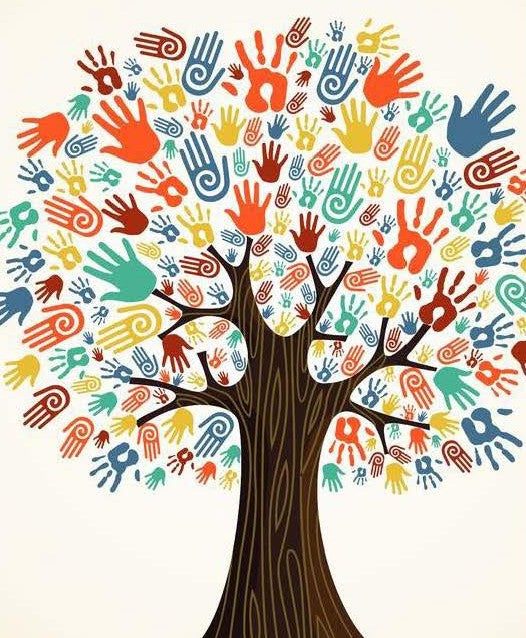 DLP DONATION